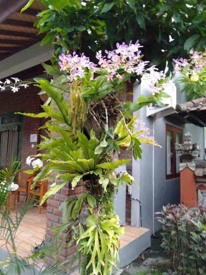 Twins Homestay تْشانغو المظهر الخارجي الصورة